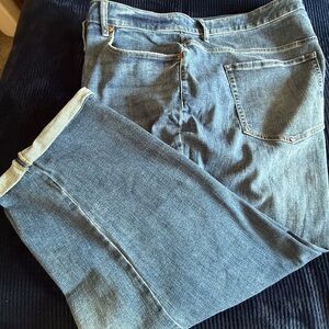 Lane Bryant Boyfriend Blue Jeans